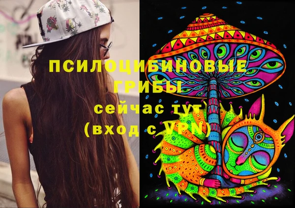 метамфетамин Дмитриев