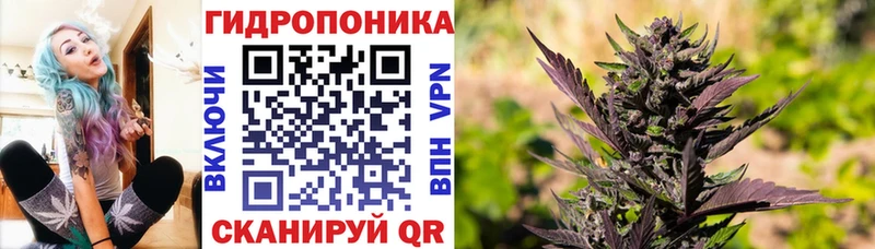 Шишки марихуана ГИДРОПОН  Черногорск 